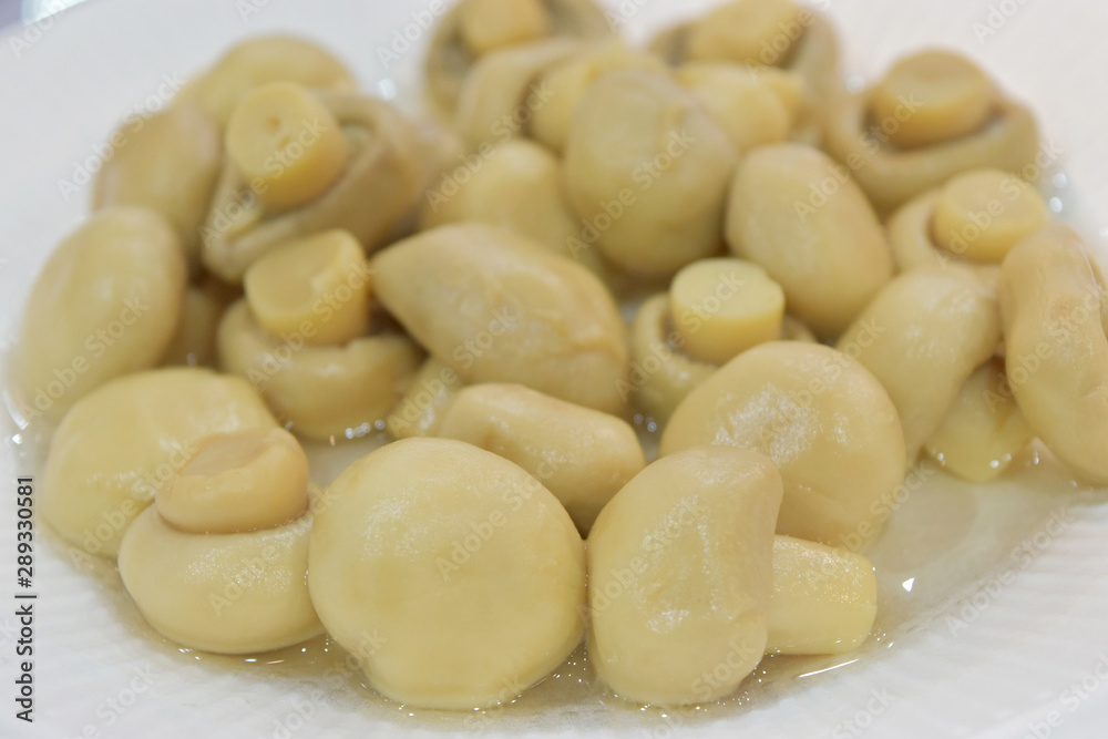 Canned mushrooms on white plate. Ingredient for cooking as various menu. Canned mushrooms on white plate. Ingredient for cooking as various menu.