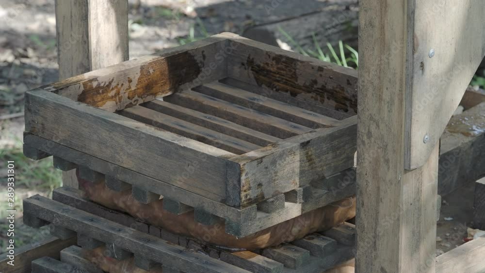 laying crushed fresh apples in drawers of wooden press laying crushed fresh apples in drawers of wooden press