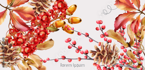 Autumn wild berries greeting card vector watercolor. Isolated background. Pro...