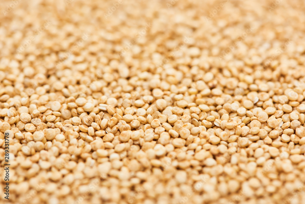 uncooked seeds of organic white raw quinoa uncooked seeds of organic white raw quinoa