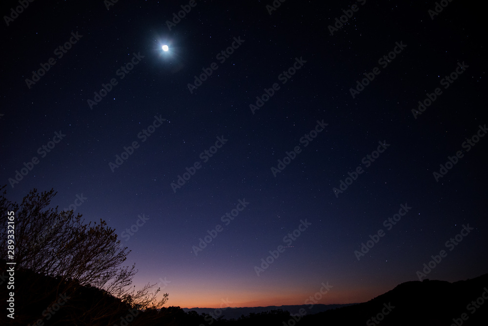 Sky full of stars with the moon behind a tree after sunset