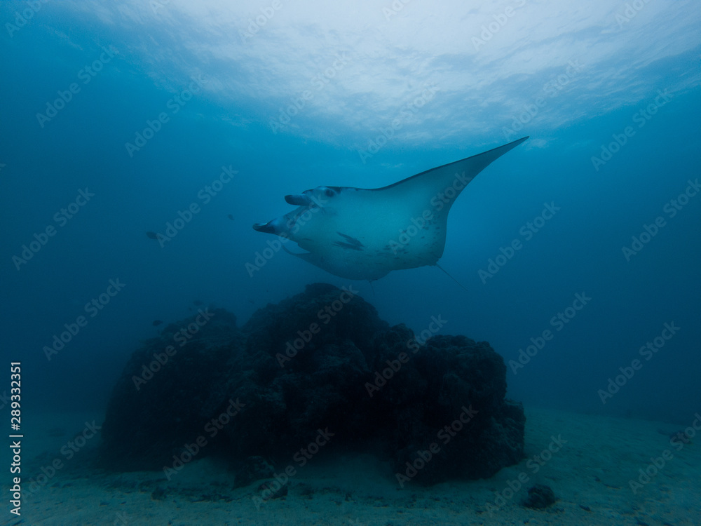 Fototapeta premium C:\DCIM\100GOPRO\GOPR0741.GPR