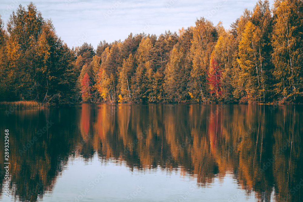 beautiful autumn forest by the lake