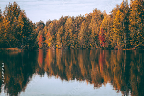 beautiful autumn forest by the lake