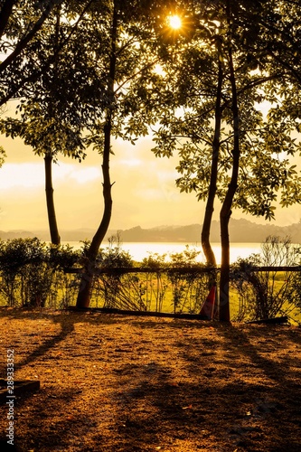 gorgeous sunset light through the trees reflecting on wather of the lake photo