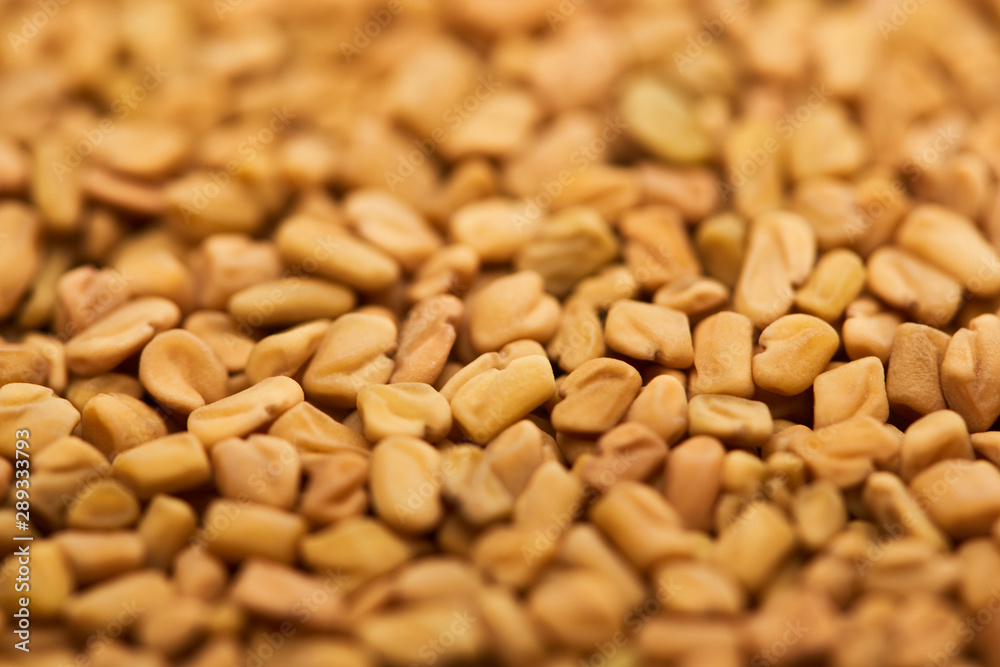 close up view of uncooked bulgur grains