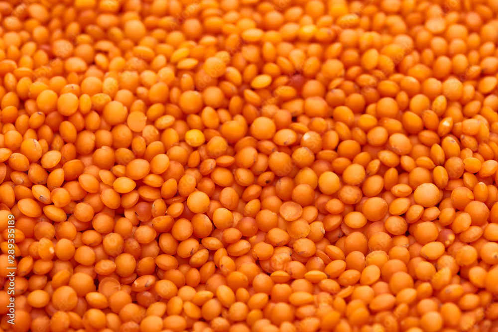 bright seeds of uncooked organic red lentil bright seeds of uncooked organic red lentil