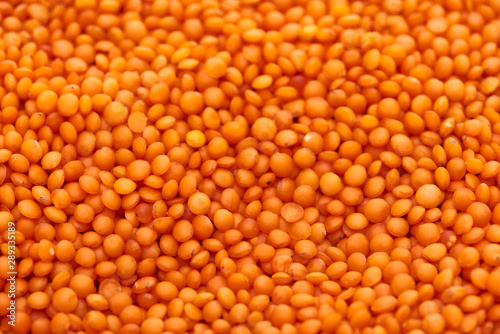 bright seeds of uncooked organic red lentil
