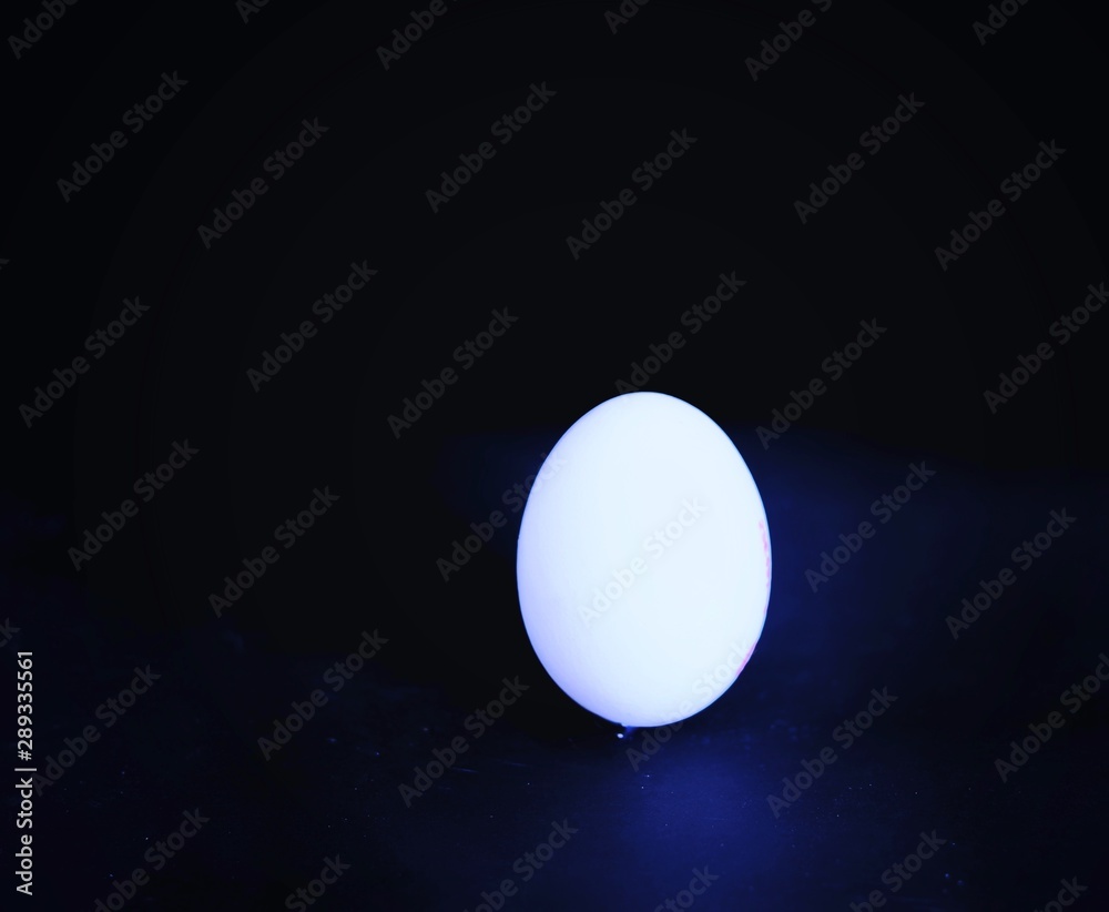 egg on black background