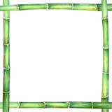 Frame of green bamboo