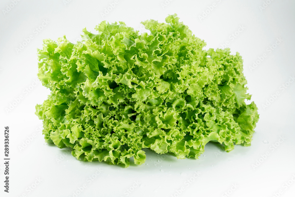 Fresh lettuce leaf for cooking food healthy or vegetable salad isolated on white background, it is good source of vitamin edible and delicious. Fresh lettuce leaf for cooking food healthy or vegetable salad isolated on white background, it is good source of vitamin edible and delicious.