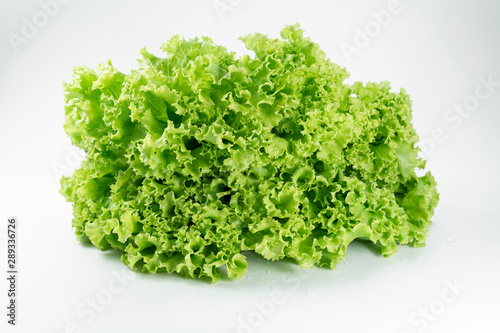 Fresh lettuce leaf for cooking food healthy or vegetable salad isolated on white background, it is good source of vitamin edible and delicious.