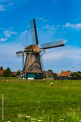 dutch windmills
