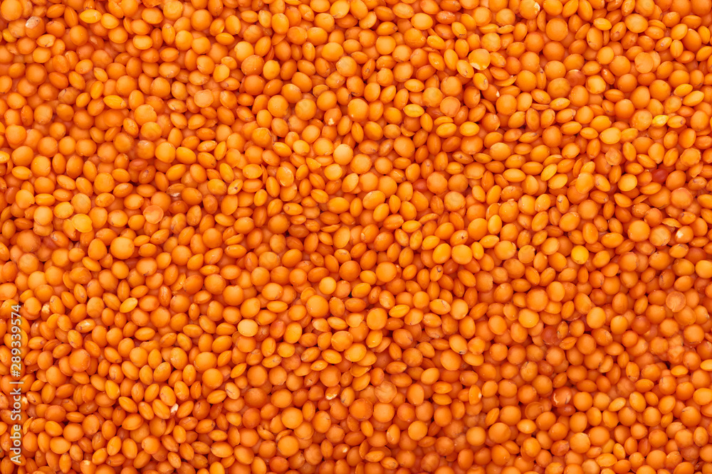 top view of uncooked organic red lentil top view of uncooked organic red lentil