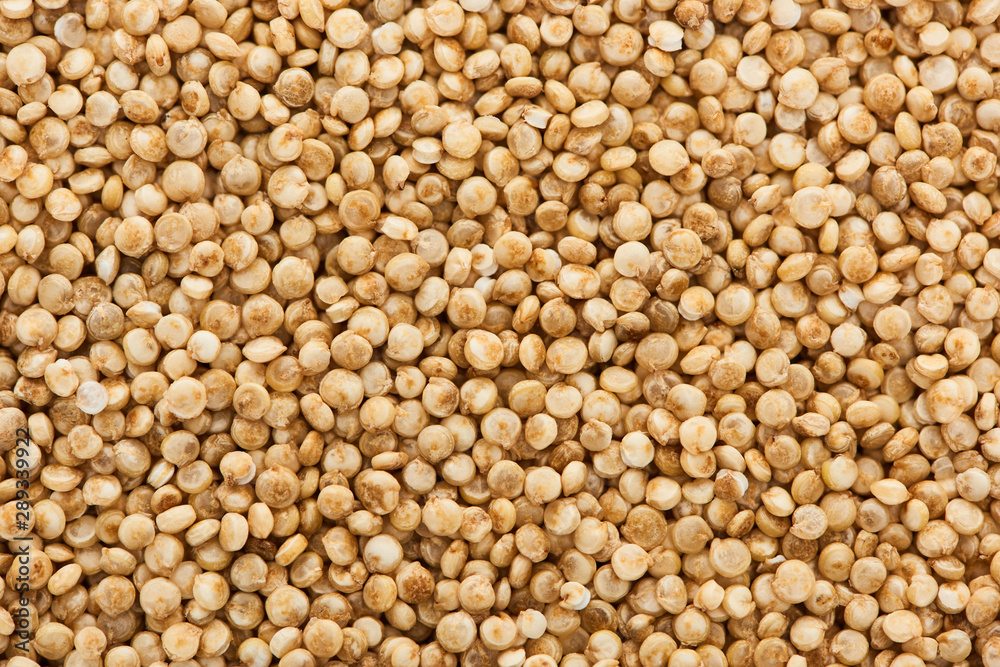 top view of uncooked seeds of organic white quinoa top view of uncooked seeds of organic white quinoa