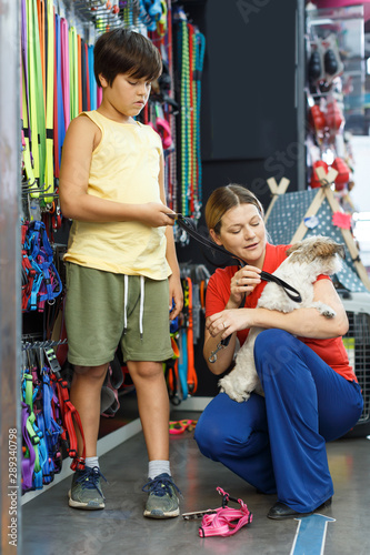 Laughing family choosing accessories for dog © JackF