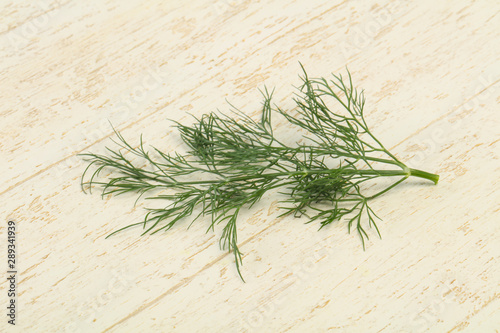 Fresh green dill herb branch © Andrei Starostin
