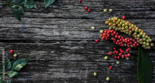  Beautiful berries and wood background images