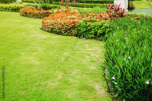 Path in lush and beautiful gardens, green lawns, Front lawn for background, Garden design, Beautiful shady landscape, House with garden, Garden with a Freshly Mowed Lawn, flowers in the garden