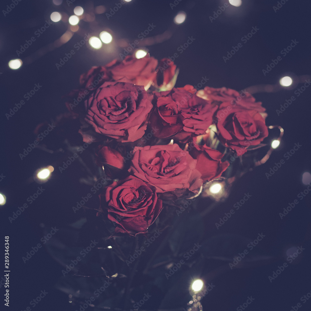 Fototapeta A branch of small red and pink roses is on a black background. Behind is a luminous garland.