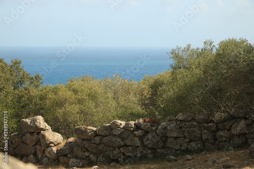 Archaeological park of the ancient city of Cosa, near Ansedonia. photo