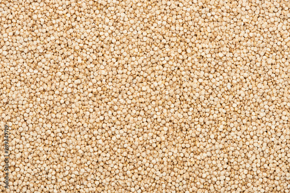 top view of unprocessed white quinoa seeds top view of unprocessed white quinoa seeds