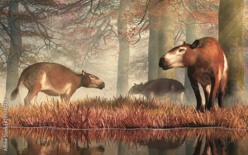 Εκτύπωση καμβά These are Eohippus, or dawn horse, the earliest known ancestor of the modern horse after the extinction event that ended the reign of the dinosaurs