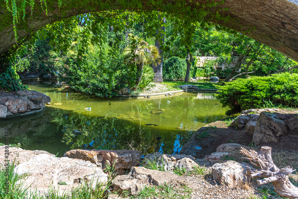 Italy, Bari, view of a pond among various plants in a public park