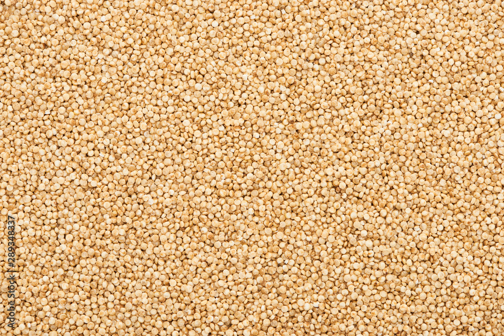 top view of raw seeds of organic white quinoa top view of raw seeds of organic white quinoa