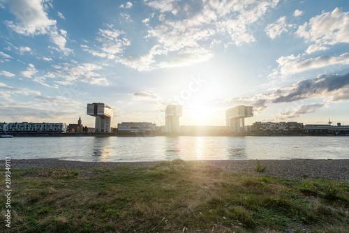 panoramic skyline view of the rhine shore in cologne with meadow in the foreground and crane houses with cathedral in the back on a sunny summer day right before sunset