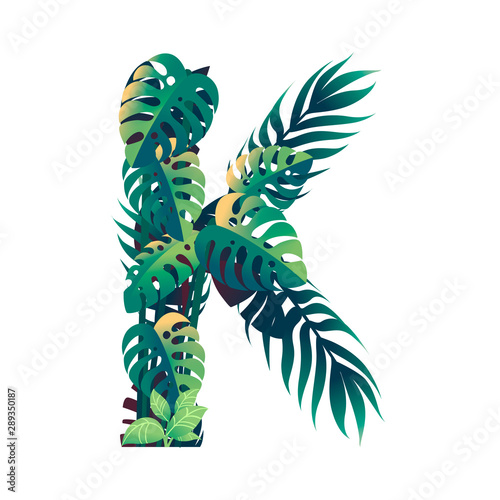 Leaf letter K with diffirent types of green leaves and foliage flat vector illustration isolated on white background