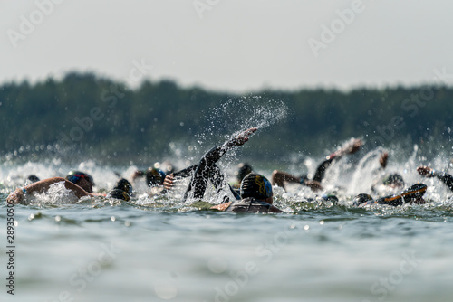 Fotografie Triathletes swimming in a lake at a triathlon competition