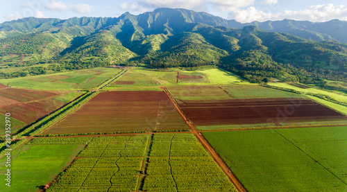 Aerial view of farmland and mountains in Hawaii