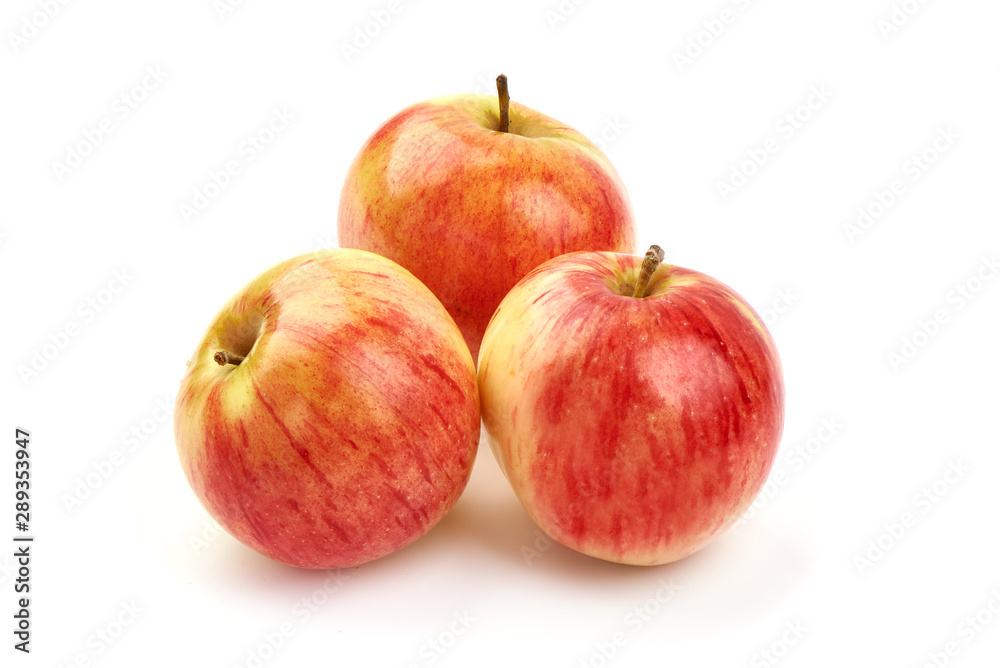 Autumn Glory apples, isolated on white background Autumn Glory apples, isolated on white background