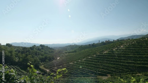 Tracking Shot - Beautiful Hill in Valdobbiadene - 4k