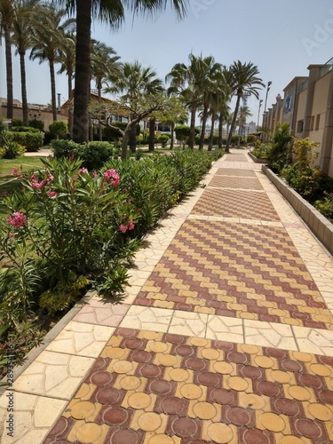 walkway in garden