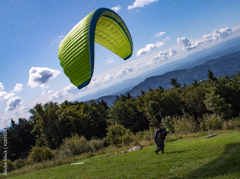 Obraz premium parapendio foresta nera