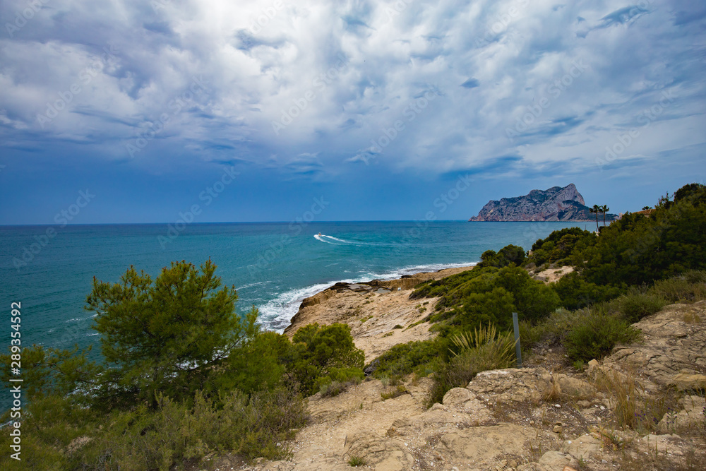 Mediterranean pines in a city park in Moraira overlooking Playa El Portet beach in Mediterranean Alicante, Spain