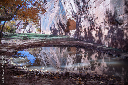 Canyon de Chelly Floor