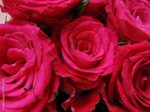 Very beautiful pink roses. Wedding bouquet. Close-up photo