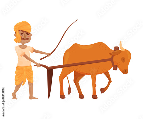 Man in Indian clothing plows the earth with an ox. Vector illustration.
