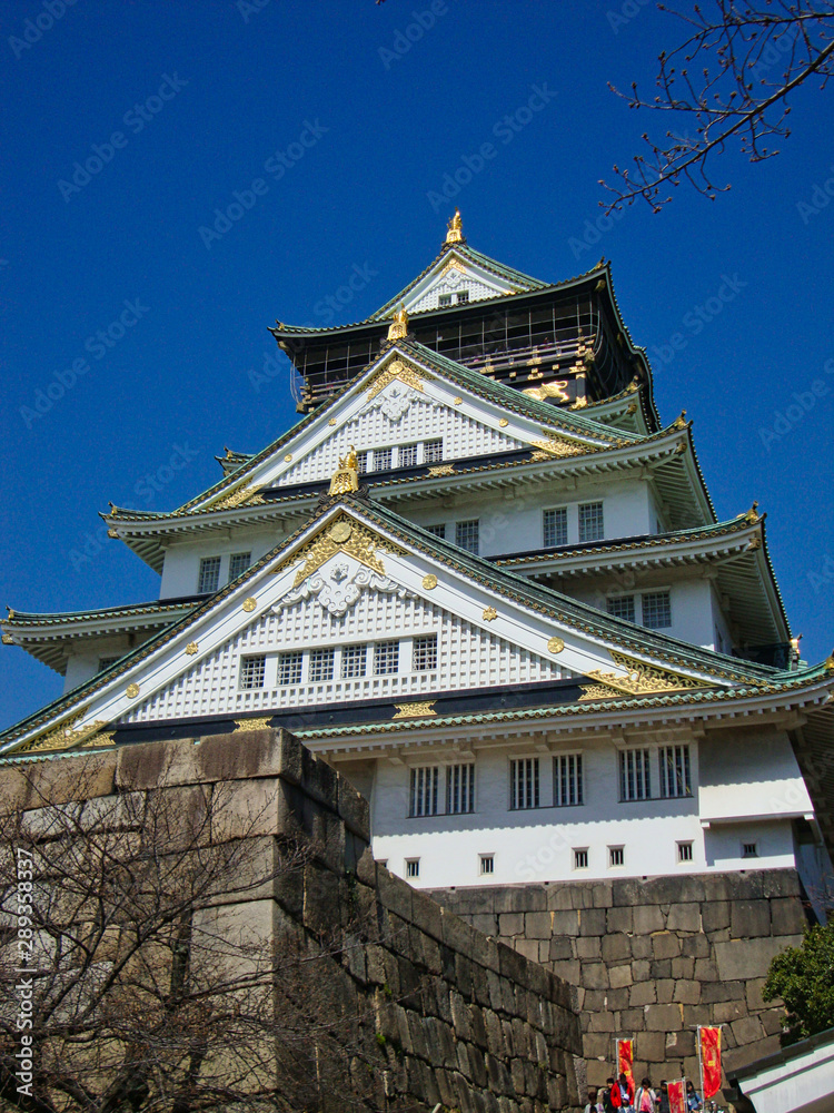 Fototapeta premium The Osaka Castle in japan tokyo