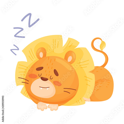 Cartoon lion cub is sleeping. Vector illustration on a white background.