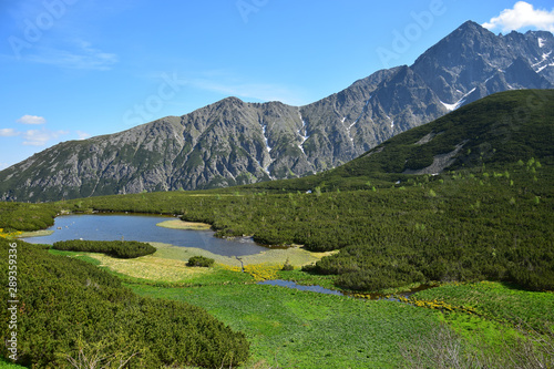 A beautiful landscape in the Belianske Tatry in Slovakia.