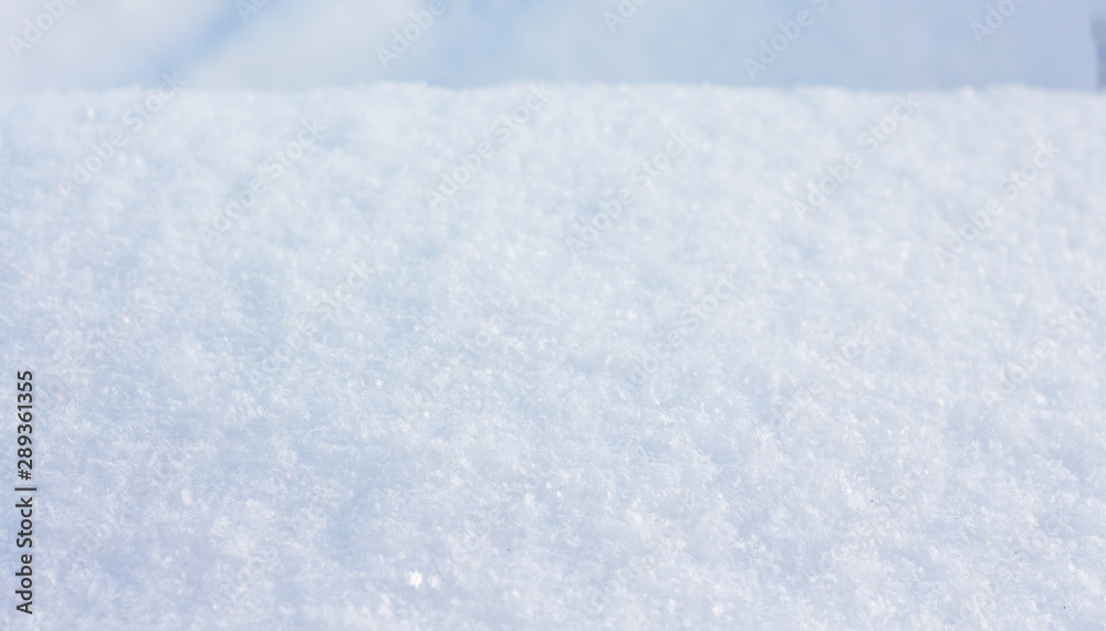 Texture of snow in sunny weather. Background - snow surface_