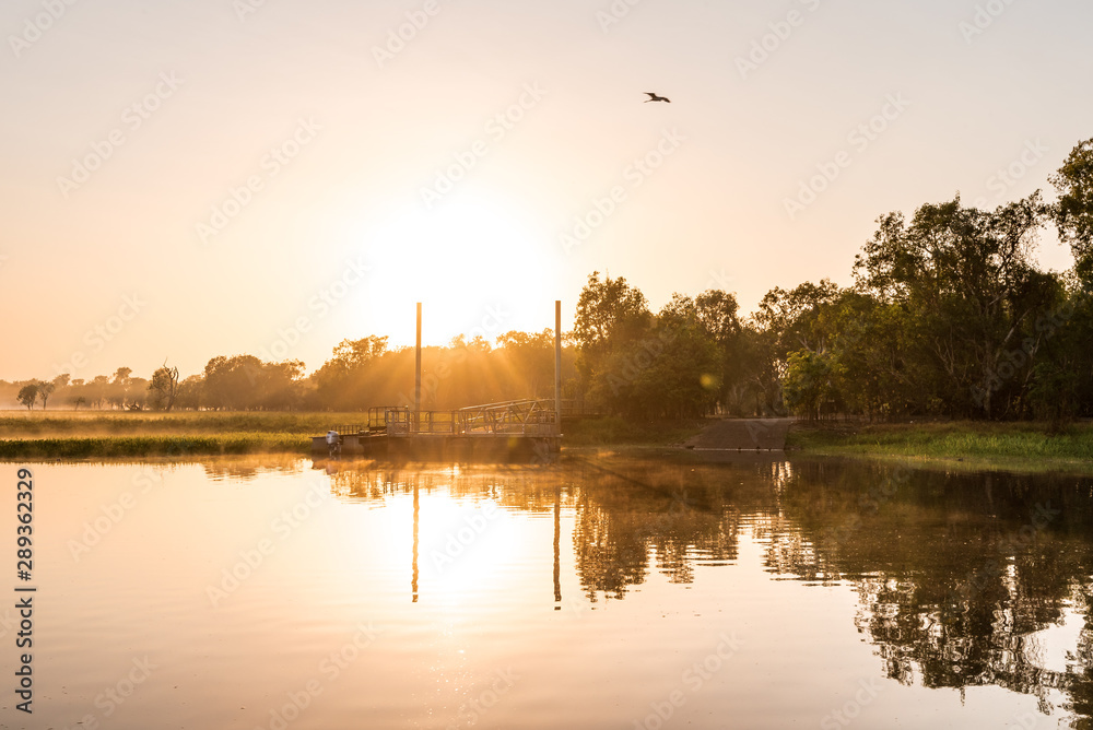 Naklejka premium Sunrise at the Yellow Water Cruise, morning mist between trees and smooth water with mirror effect, Kakadu National Park, Northern Territory, Australia