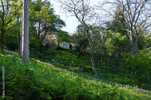 Casa de campo com jardim 