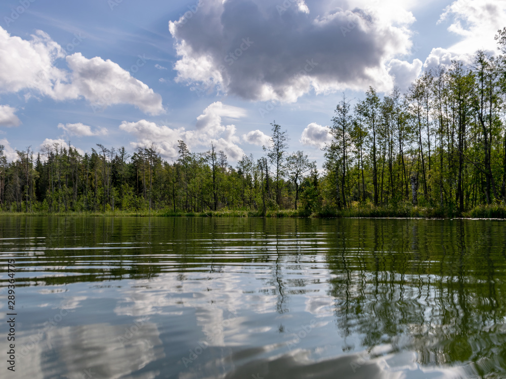 Fototapeta premium Lake shines green under blowing clouds in summer with waterlily leaves in the foreground, Lake Valdis, Turna, Latvia