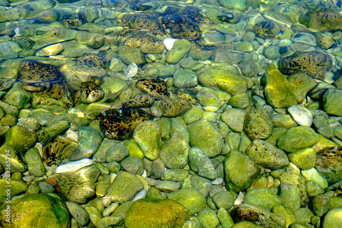 rocks under the water