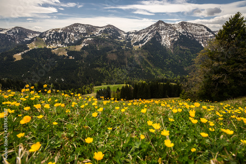 Alps, Mountains, Allgäu